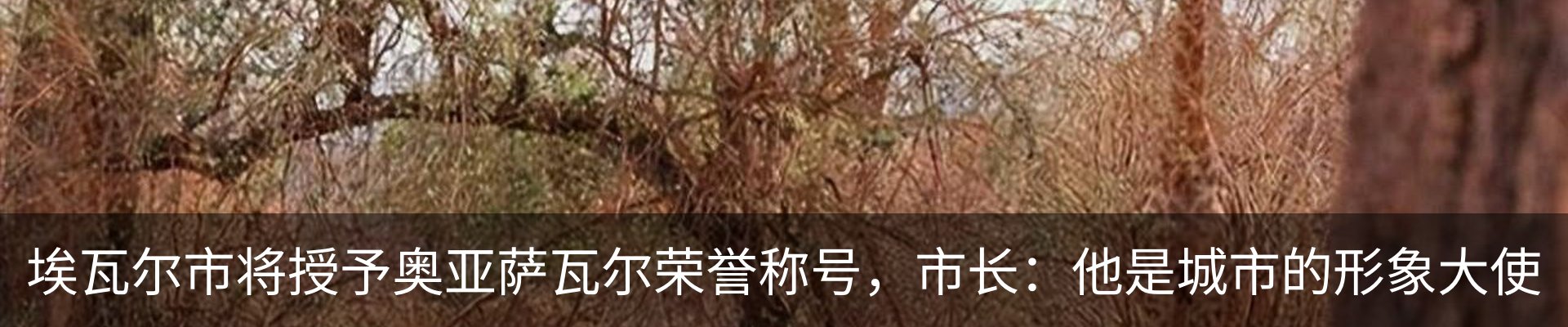 资讯动态