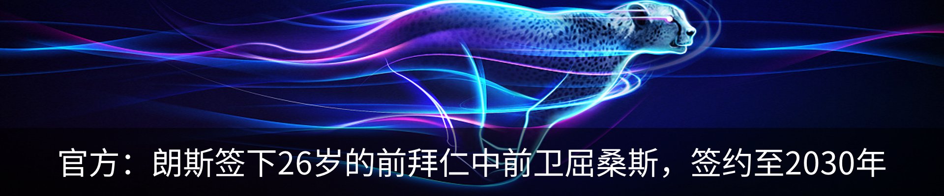 资讯动态