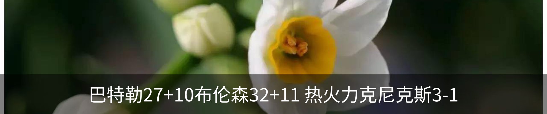 资讯动态