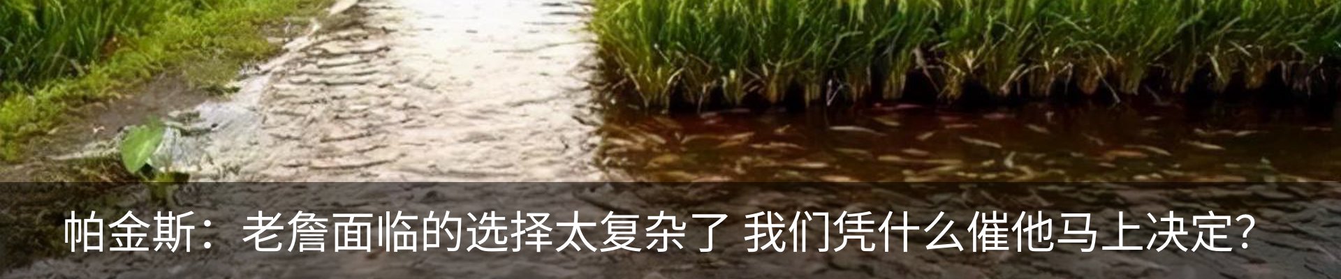 资讯动态
