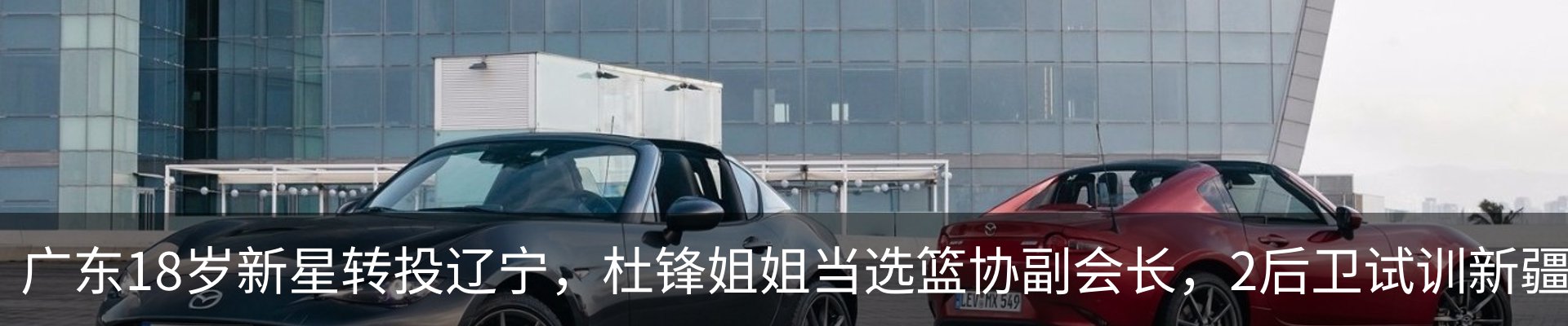 资讯动态