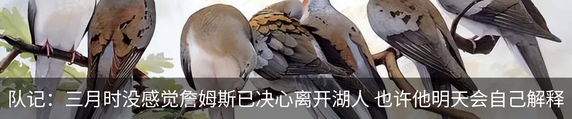 资讯动态