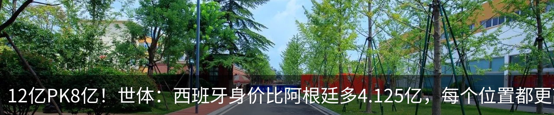资讯动态