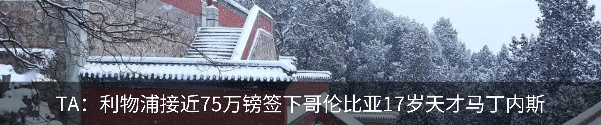 资讯动态